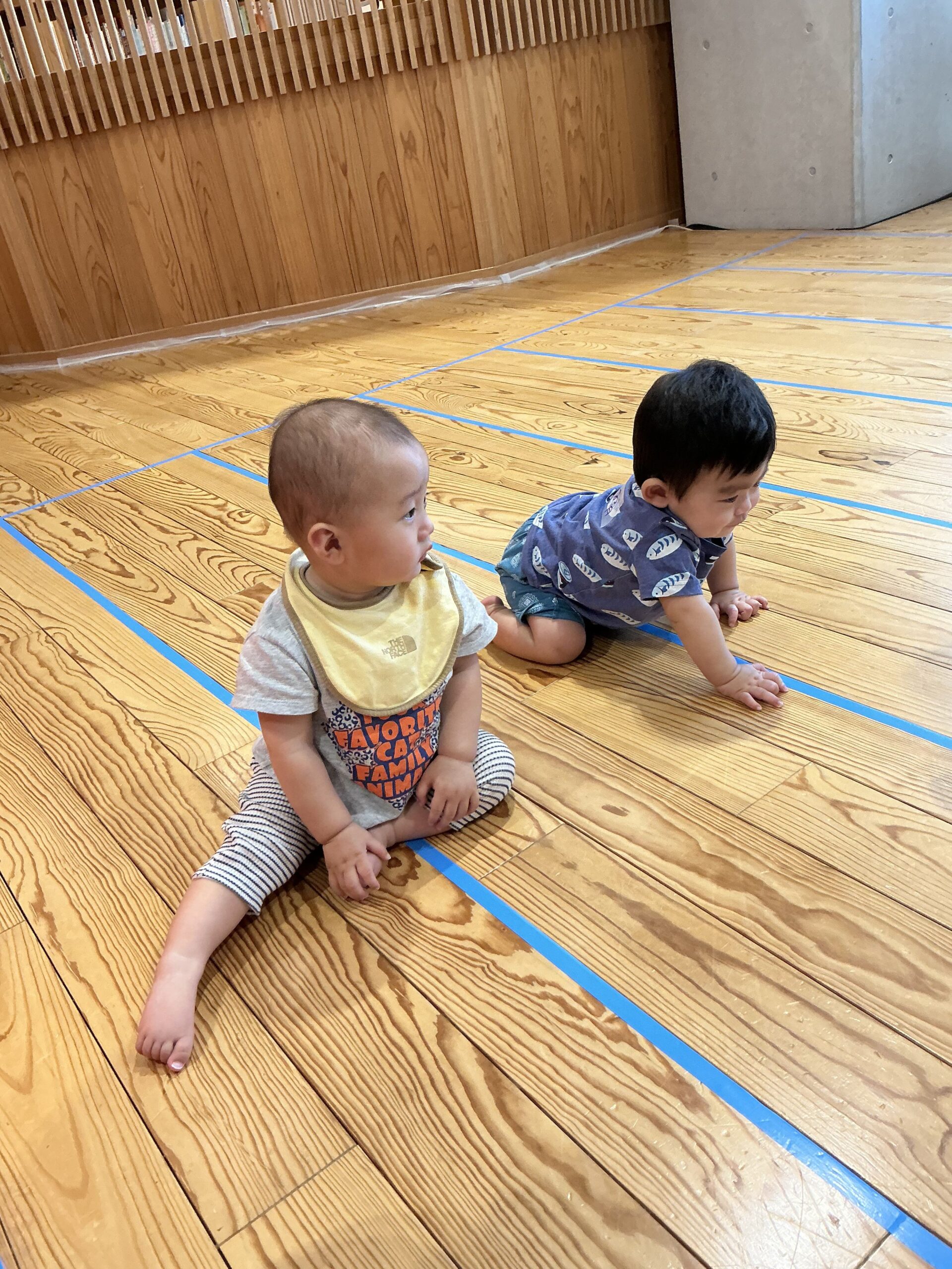 ハイハイよちよちレース6月ご報告